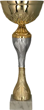9266F Puchar metalowy złoto-srebrny h-22,5cm, d-8cm