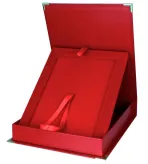 BTY17/EX/V Ekskluzywne etui z tworzywa sztucznego czerwone -pionowe H-29,8 cm W-24,3 cm