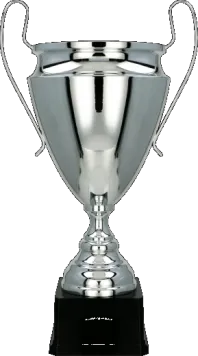 2020C Puchar metalowy srebrny h-51cm, d-20cm