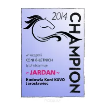 Dyplomy papierowe wg indywidualnego projektu