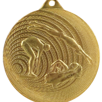 Pływanie medale