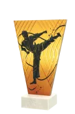 VL1-A/KAR Trofeum szklane na podstawie marmurowej - karate h-22,5 cm, grub. 1 cm