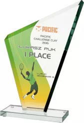 GS201-27 Trofeum szklane h-27,5 cm, grub. 1,2 cm