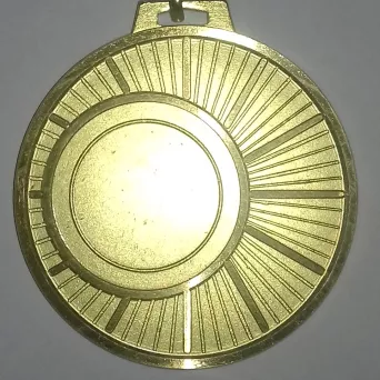 MD330-60/G medal