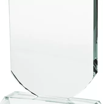 G001 trofeum szklane h-19 cm, grub. 1,5 cm