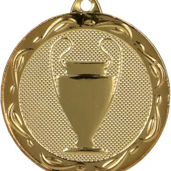 MMC1032/G Medal złoty ogólny z pucharkiem R- 32 mm, T-2 mm