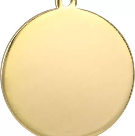MMC5051/G Medal złoty ogólny - medal stalowy R- 50 mm, T- 3 mm