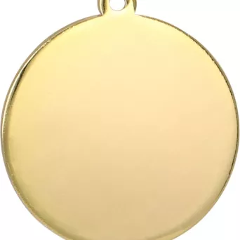 MMC5051/G Medal złoty ogólny - medal stalowy R- 50 mm, T- 3 mm