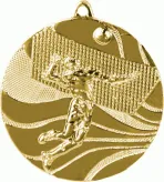 MMC2250/G medal złoty d-50 mm tematyczny SIATKÓWKA