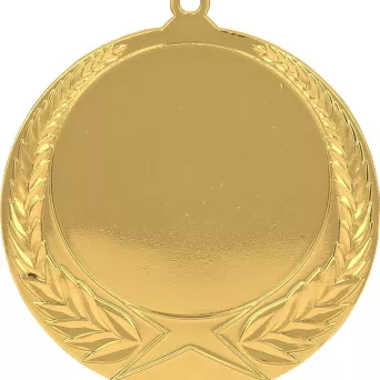 MMC1170/G Medal złoty ogólny z miejscem na emblemat 50 mm - medal stalowy R- 70 mm, T- 2.5 mm