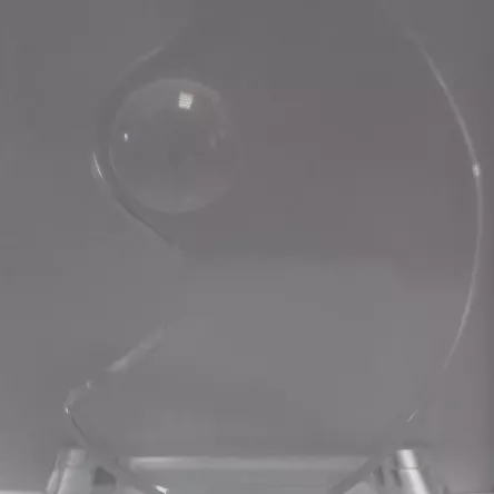 CR-B-320 statuetka kryształowa