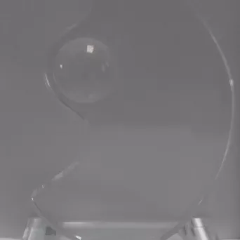 CR-B-320 statuetka kryształowa