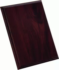 EX153 podkład do dyplomu 180x230 mm