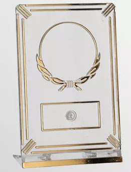 50163/T-G Trofeum plastikowe prostokątne h-14 cm
