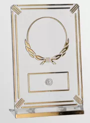 50163/T-G Trofeum plastikowe prostokątne h-14 cm