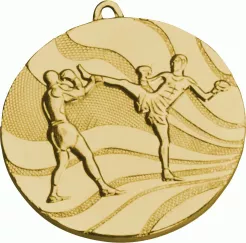 MMC5250/G Medal złoty KICKBOXING d-50 mm