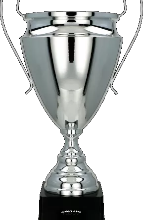 2020C Puchar metalowy srebrny h-51cm, d-20cm