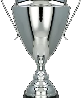 2020C Puchar metalowy srebrny h-51cm, d-20cm