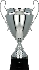 2020C Puchar metalowy srebrny h-51cm, d-20cm