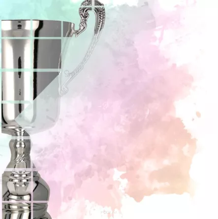 DYP156 Dyplom papierowy - puchary 30 x 21 cm (25 szt.)