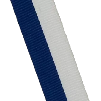 V3-W/BL Wstążka 20 mm - biało-niebieska bez karabińczyka 22 mm