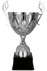 7221D Puchar metalowy srebrny h-24,5 cm, d-10cm