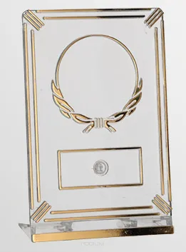 50161/T-G Trofeum plastikowe prostokątne h-12 cm