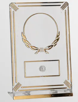 50161/T-G Trofeum plastikowe prostokątne h-12 cm