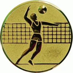 D2-A6/G emblemat złoty SIATKÓWKA d-50 mm