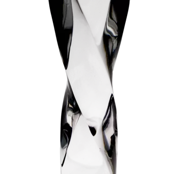 C060 Trofeum szkl.z etui h-27cm