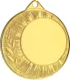 ME0240/G Medal złoty ogólny z miejscem na emblemat d-40mm, grub. 0,15 cm