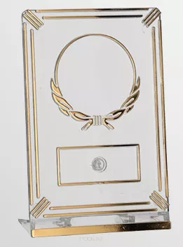 50162/T-G Trofeum plastikowe prostokątne h-13 cm