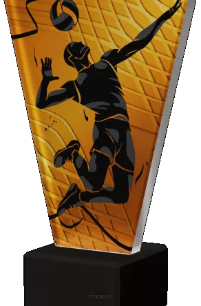 VL1-A/VOL/BK Trofeum szklane - siatkówka h-22,5 cm, grub. 1 cm