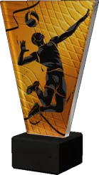 VL1-A/VOL/BK Trofeum szklane - siatkówka h-22,5 cm, grub. 1 cm